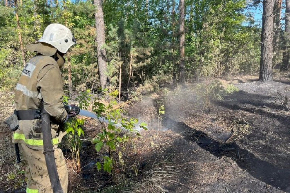 Лесной пожар в области Абай ликвидирован