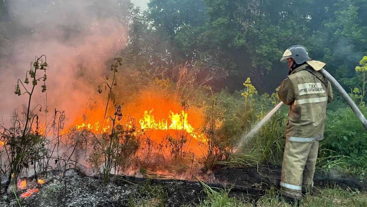 Сколько миллиардов тратит Казахстан на борьбу с лесными пожарами
