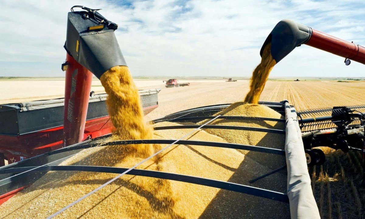 Казахстан разрешил транзитные перевозки пшеницы