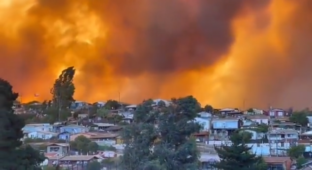 Крупные лесные пожары охватили Чили
