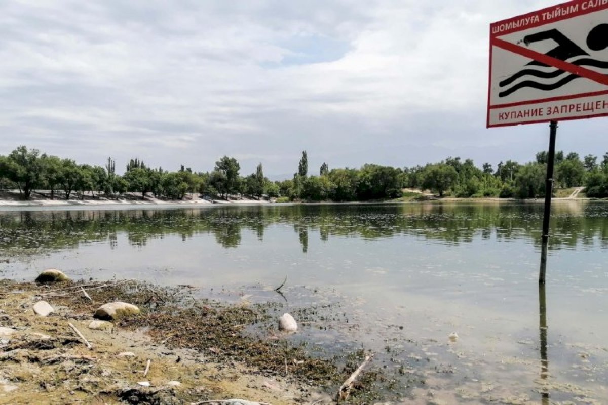 Досаев: Впервые за 60 лет будет проведена очистка дна Аэропортовского озера