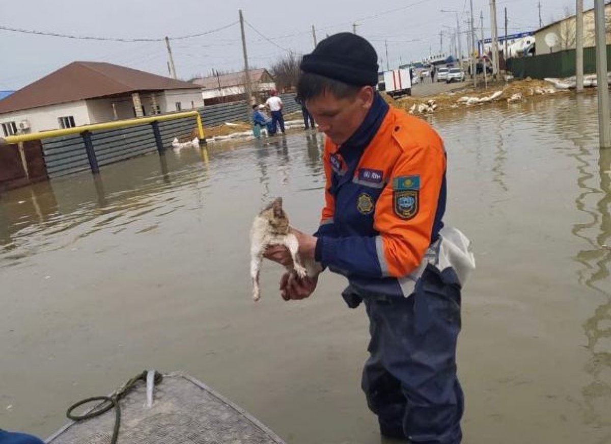 Около 3,5 тыс. частных домов затоплено в Казахстане