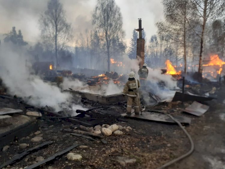 Токаев взял на контроль ситуацию с лесным пожаром в ВКО