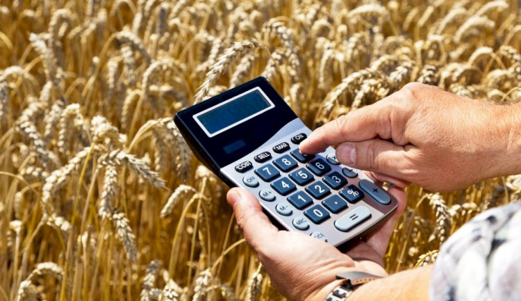 На 0,4% снизились цены производителей сельхозпродукции в Казахстане