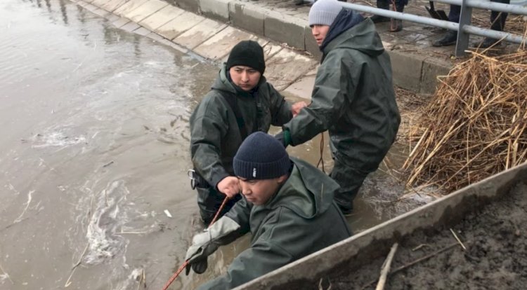Оперативные меры против паводков приняты в трех областях Казахстана
