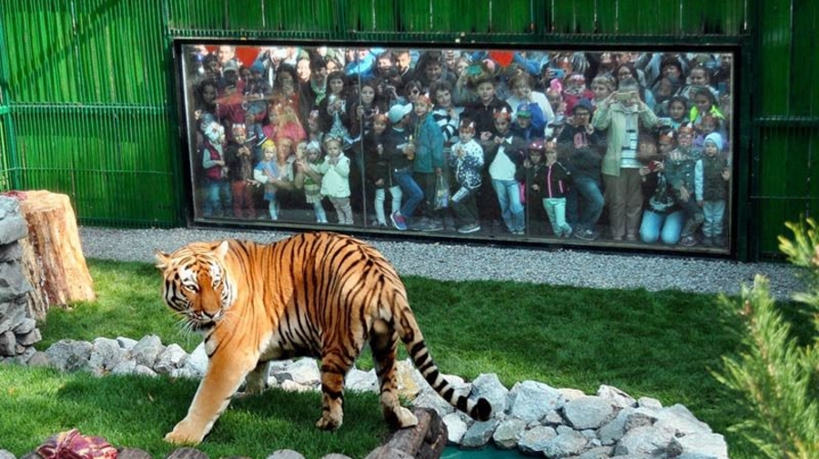 В Алматинском зоопарке начался прием заявок в летнюю зоошколу