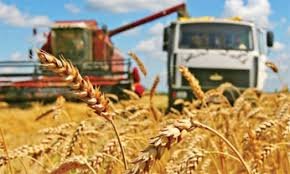 Зерносеющие регионы республики приступили к сбору урожая