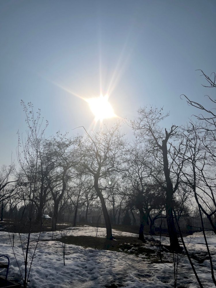 Фото любимого Алматы в последний день зимы 2022 года