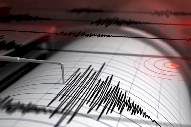 Землетрясение произошло в 313 км от Алматы