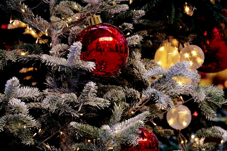 Где и когда зажгут новогоднюю елку в Алматы