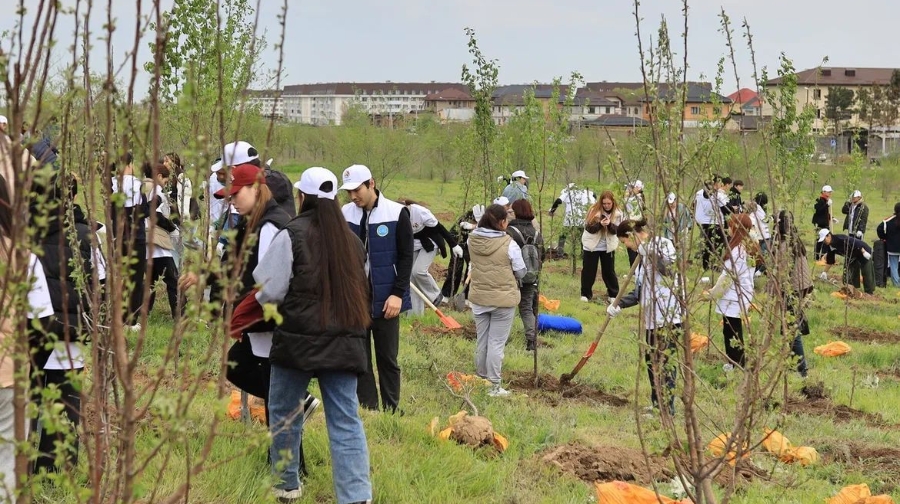 Больше, чем в Центральном парке Нью-Йорка: в Алматы за месяц высадили 30 тысяч деревьев
