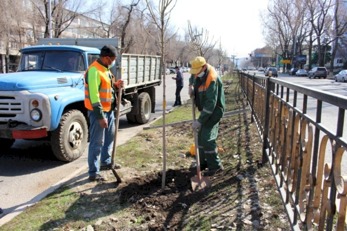 Источник фото: Управление зеленой экономики Алматы