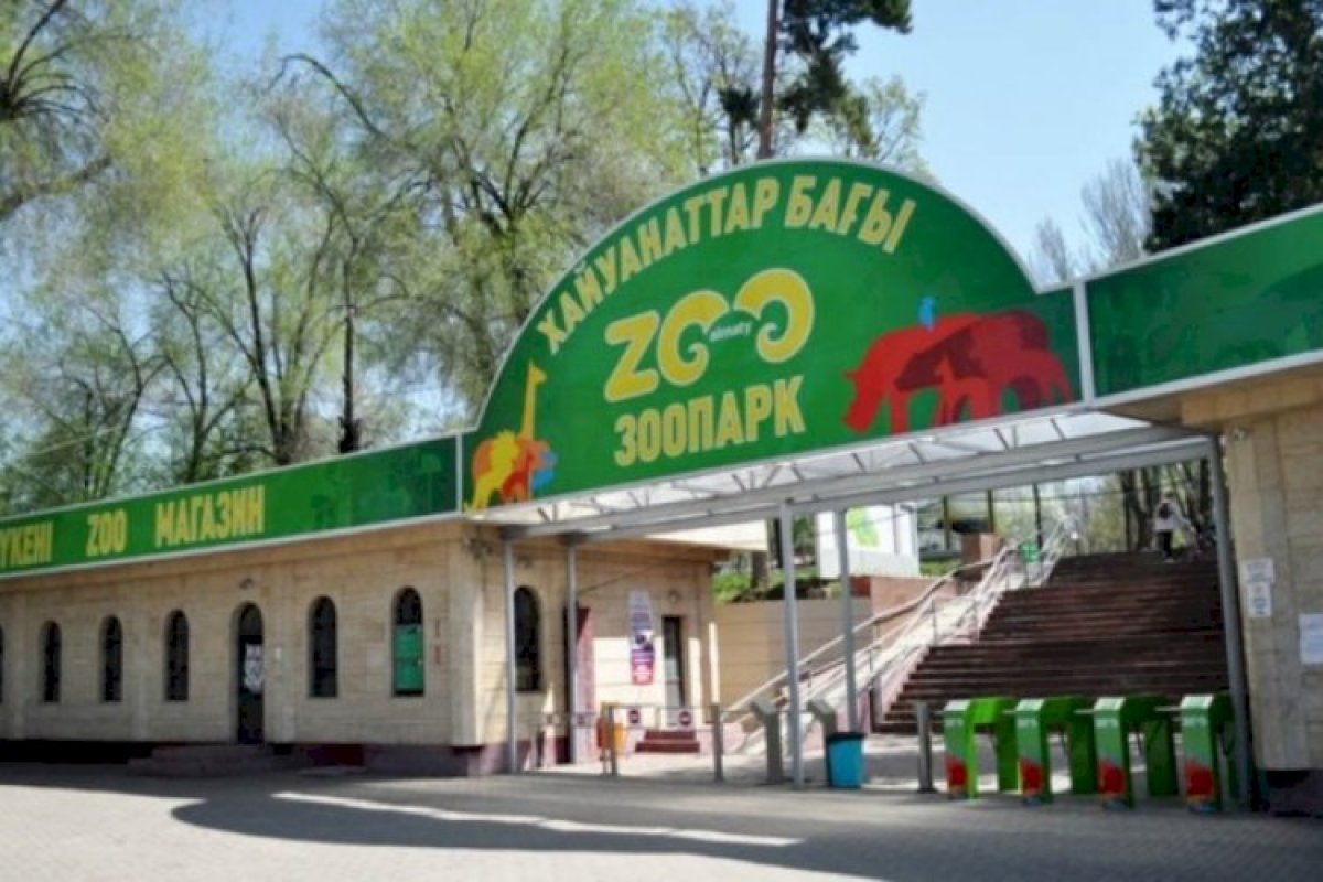 Источник фото: Официальный аккаунт зоопарка Алматы в соцсетях