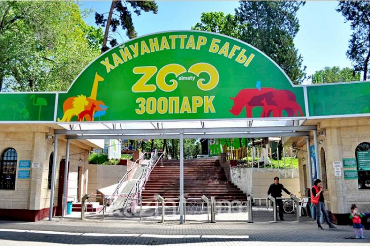 Источник фото: пресс-служба зоопарка
