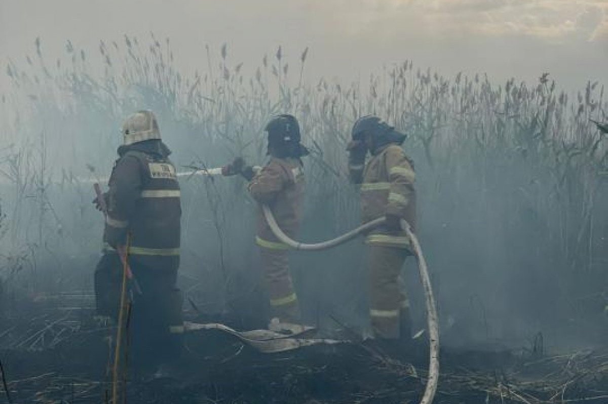 На место возгорания сухостоя в Астане прибыл министр МЧС