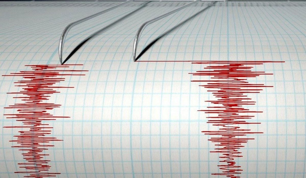 Землетрясение магнитудой 5,0 зафиксировано в 661 км от Алматы