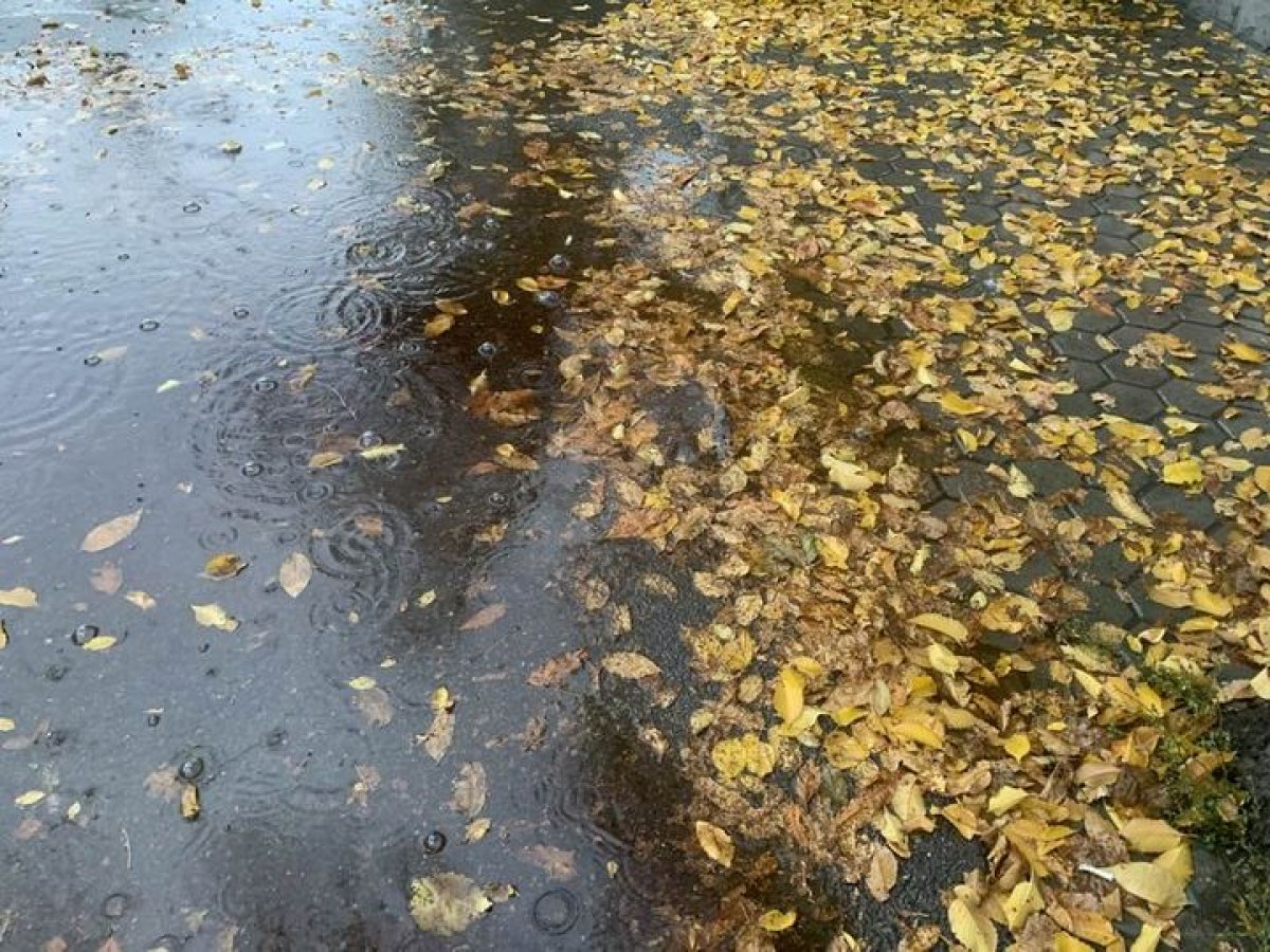 На большей части Казахстана пройдут дожди 8 октября