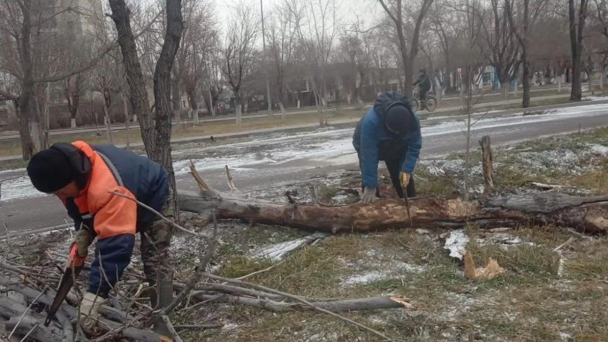 Режим ЧС объявлен в Карагандинской области