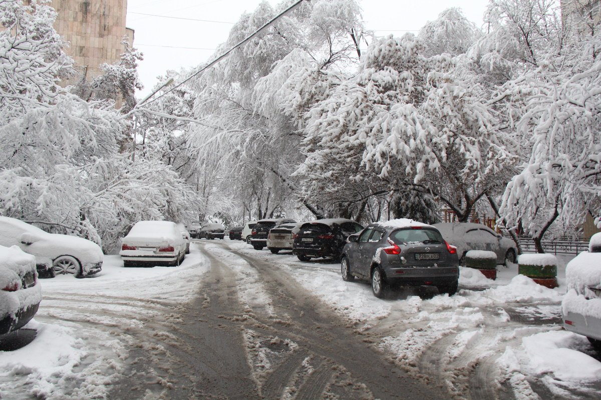 Снегопады накроют Казахстан