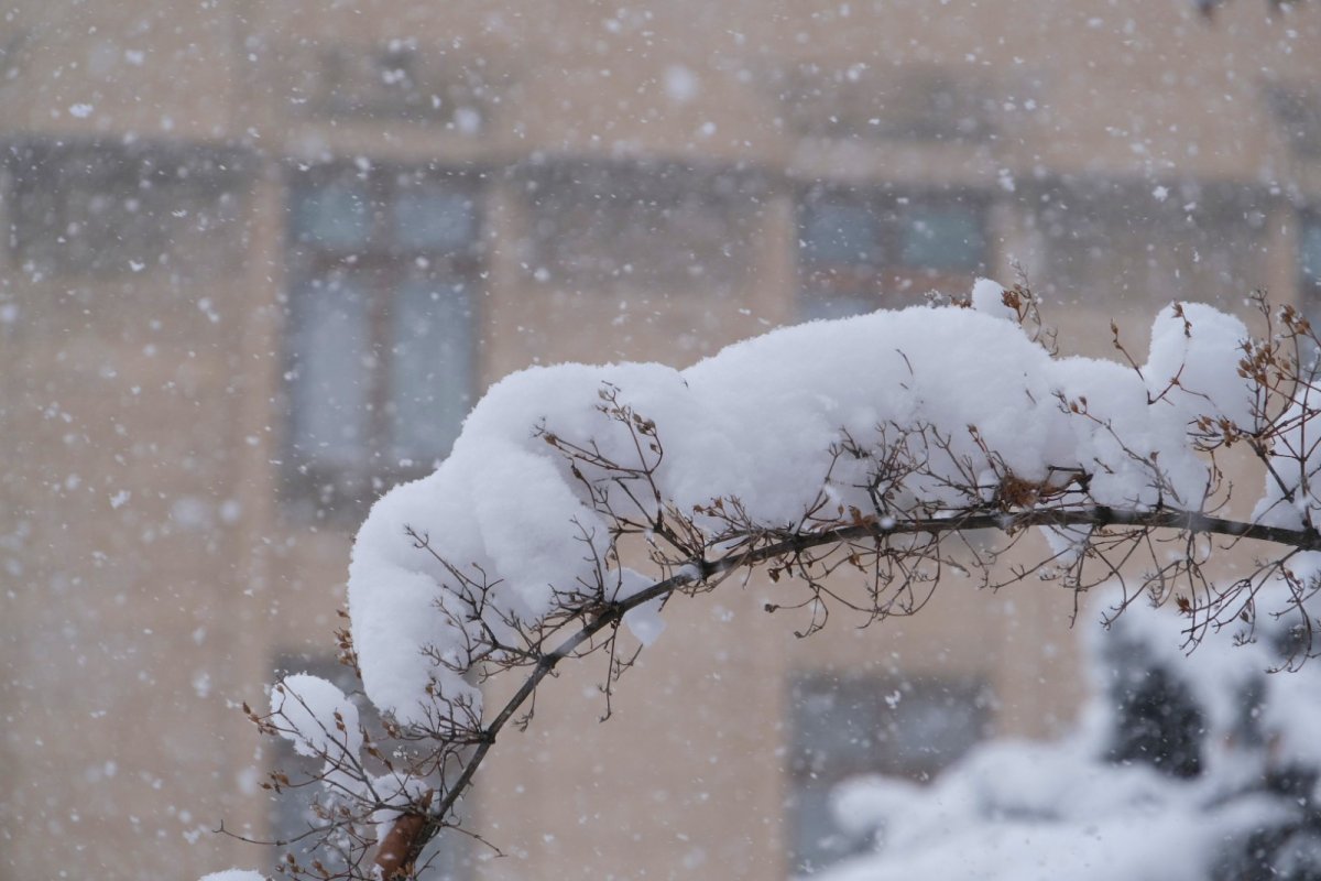 В Алматы ожидается выпадение сильного снега высотой до 20 см