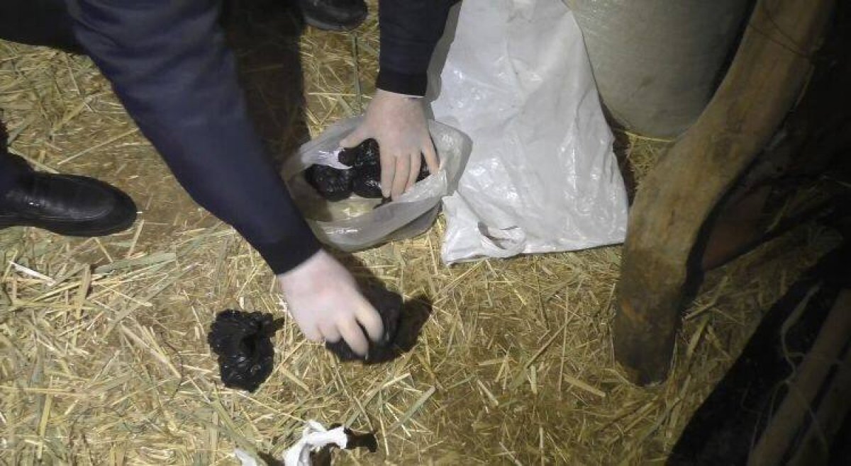 Около 30 кг каннабиса изъяли у жителя Жамбылской области