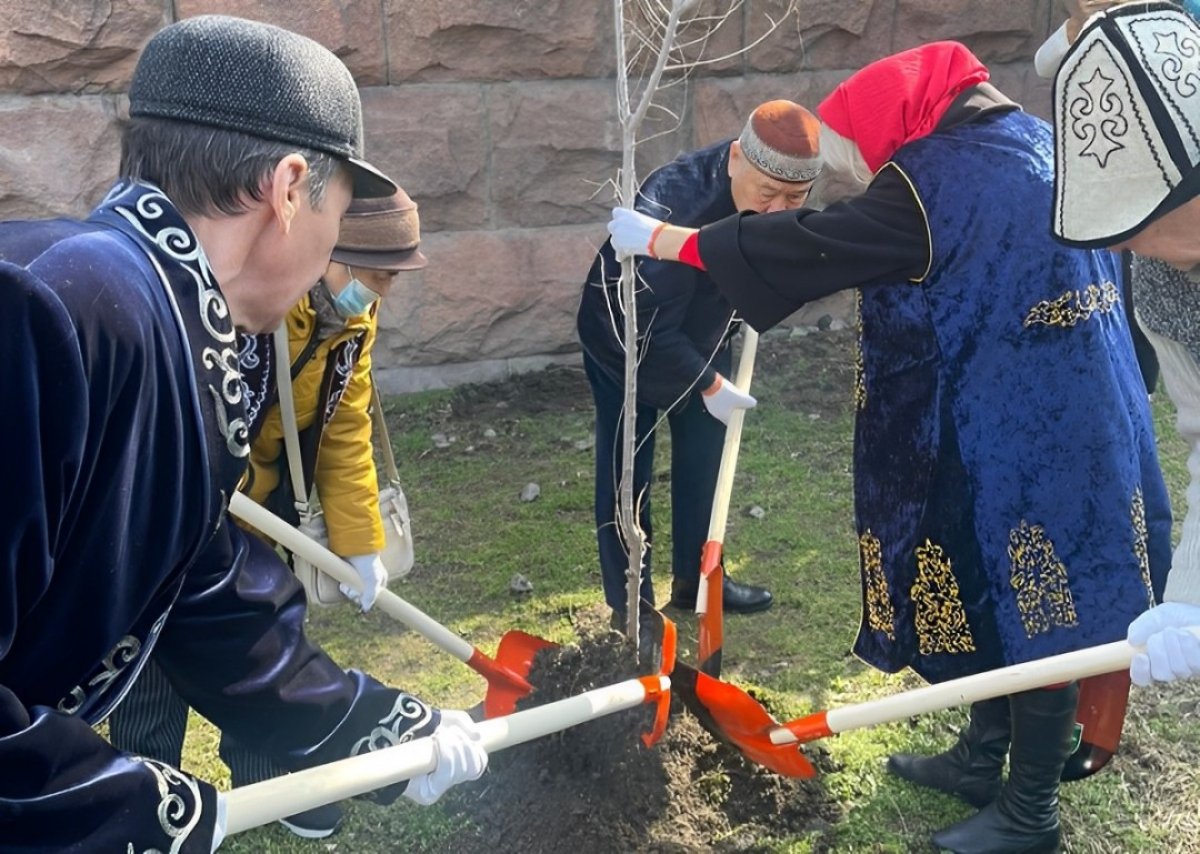 Алматинские аксакалы посадили деревья возле Казахстанско-Британского университета