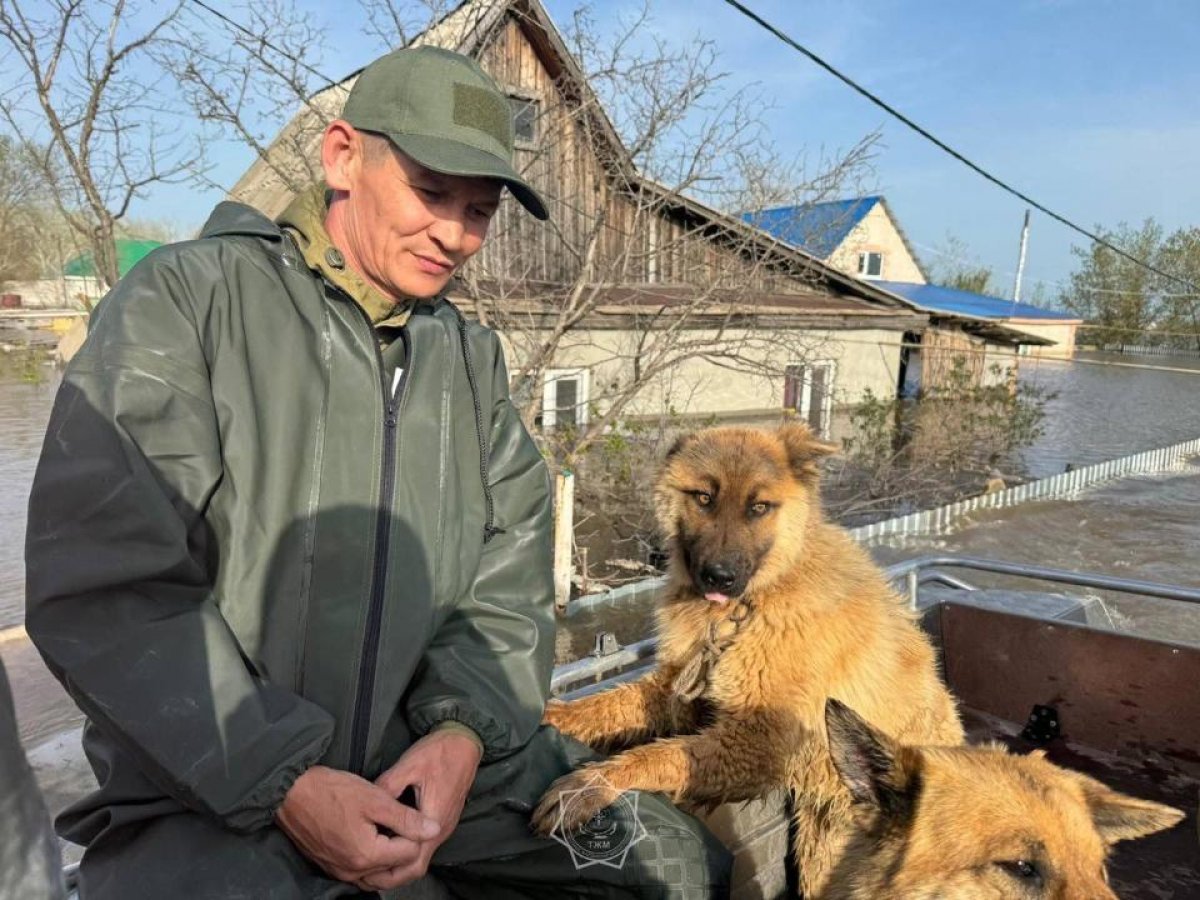 Более 16 тыс. казахстанских семей получили господдержку после паводков