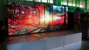 Жители Алматы могут отследить количество высаженных деревьев на LED-экранах