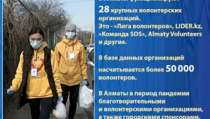 В Алматы функционируют 28 крупных волонтерских  организаций