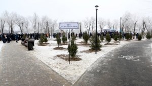 Новый парк «Желтоксан» в Алматы: на территории парка высажено 100 хвойных деревьев