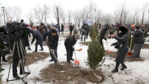 Городские власти отреагировали незамедлительно – Нурлыбек Куанбаев об открытии парка «Желтоксан»