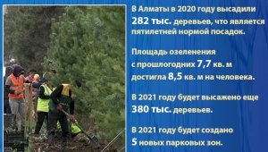 В Алматы в 2020 г. площадь озеленения  достигла 8,5 кв. м на человека