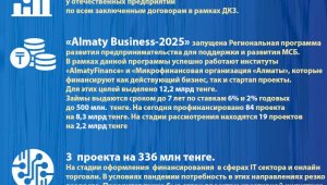 Алматы-2020: основные показатели социально-экономического развития (Антикризисные меры по поддержке МСБ)