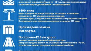 Алматы-2020: основные показатели социально-экономического развития («Новый Алматы»)