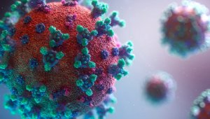 В ВОЗ прогнозируют появление новых видов коронавируса