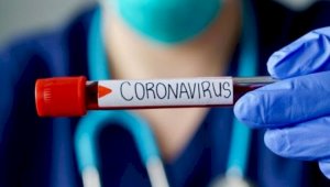 Количество заразившихся COVID-19 за последние сутки – без малого 1000 человек