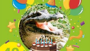 Крокодиловый кайман Зина празднует день рождения в Алматинском зоопарке
