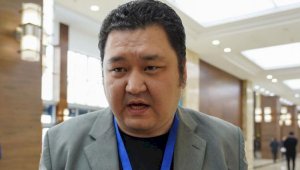 Марат Шибутов: В Казахстане виден тренд на многопартийность