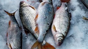 Четверых рыбаков спасли на Капшагайском водохранилище
