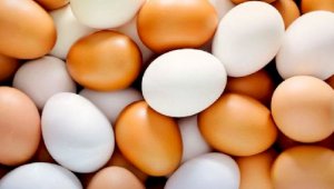 Яйца подорожали на 30%: как птицеводы объясняют рост цен