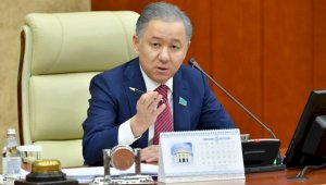 Нигматулин высказался за равномерную представленность Казахстана в интеграционных структурах