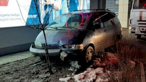 Пьяный водитель повредил посаженный возле магазина Sulpak в Алматы дуб
