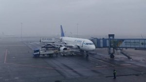 Около 300 человек прилетели в Алматы без ПЦР-справок