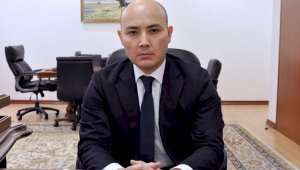 Назначен вице-министр Нацэкономики Казахстана
