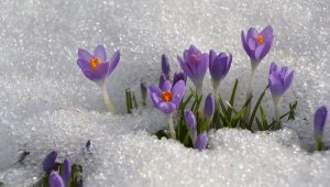 Какая погода ожидает казахстанцев в первый день весны