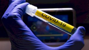 Опубликованы новые данные о заболевших коронавирусом казахстанцах