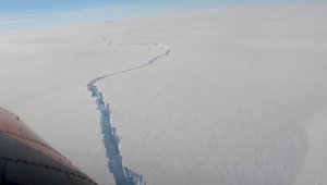 Айсберг величиной с Петербург откололся от Антарктиды