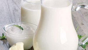 Несмотря на рост производства, молоко подорожало в Казахстане