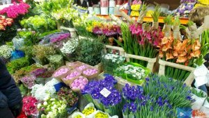 Какие цветы не стоит дарить женщинам на 8 Марта