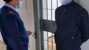 Убийством закончилась ссора родственников из-за земельного участка в Алматинской области